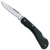 Case Knives: Case Mini Blackhorn Knife, CA-253 -knifecenter shop CA 253 1 83818