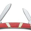Case Knives Case Small Congress Knife 06411 - Exotic Spiny Oyster - EX468SS - Discontinued - BNIB -knifecenter shop CA 6411