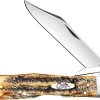 Case Knives Case Cheetah Knife 65319 BoneStag 6.5111 1 / 2LSS